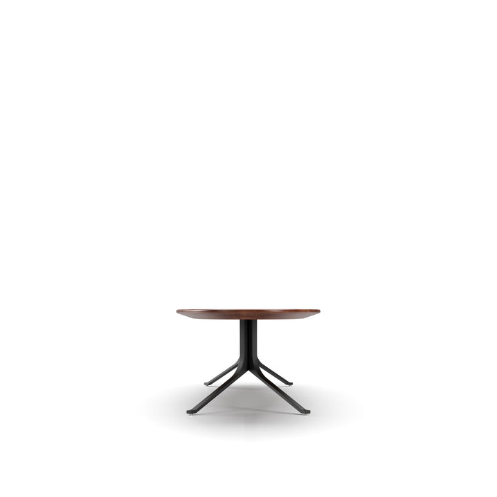 Blink Oval Coffee Table