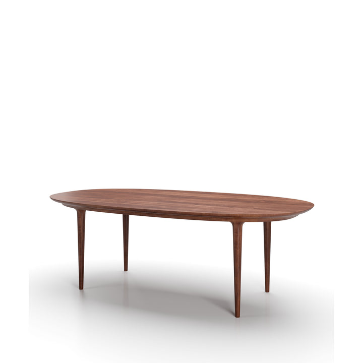 Lunar Coffee Table